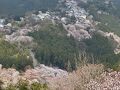 (2)4トラメンバーと春爛漫の奈良へ行こう(吉野山の桜)
