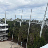 シンガポールとマレーシアに行ってきました　３日目：ペナン島巡り