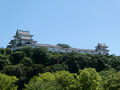 2025年7月和歌山　【未踏の地を訪問してみる】城・文化・自然・うまいもんに漬かる旅（前半）