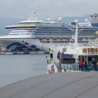 青と緑を巡る旅 ～函館・積丹・美瑛の風景日記～　1日目