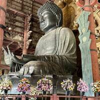 (3)4トラメンバーと春爛漫の奈良へ行こう(奈良市内巡り)