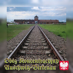 おひとり様参加限定 ポーランド大周遊10日間 〔８〕【７日目：アウシュヴィッツ & ビルケナウ】 2025年 7月