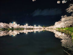 桜旅⑧ 日本三大夜桜＆みちのく三大桜名所 弘前公園