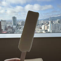 夏でも暑い札幌でインドア避暑、災害デマのせいかインバウンド少なめの小樽へ