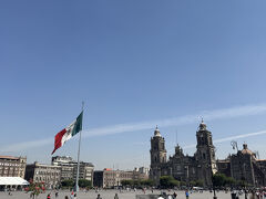 メキシコシティ 2025タコス食べ歩き⑧