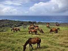 与那国島・1泊2日で観光スポット巡り