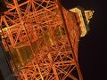 大手町ランチとはとバス夜景ツアー
