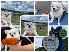 ペットと行く愛知県茶臼山高原へドライブ　ペットと乗れるリフトに乗り五平餅の巻