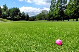 【列島巡業090】ぷらっと富士宮 [日帰り]