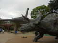 岡崎市の公園をミニトリップ