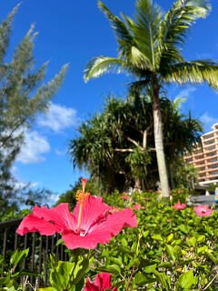 ２０２４年１０月　発見、新しい沖縄♪恩納そば～ステーキハウス jamでにく～＠カフー リゾート フチャク コンド・ホテルでリゾートステイ☆彡