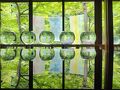 夏の京都 お祭りづくしの旅 2