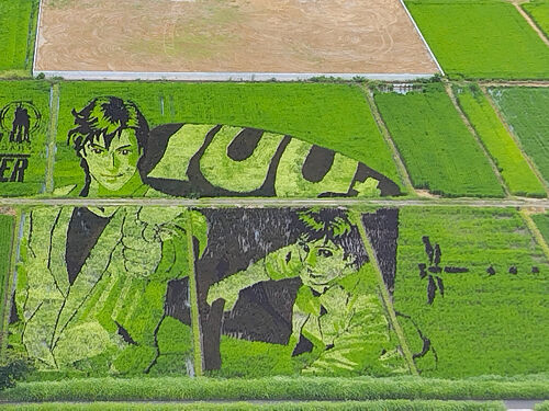 こしがや田んぼアート『シティハンター』☆花と田んぼアートめぐり③