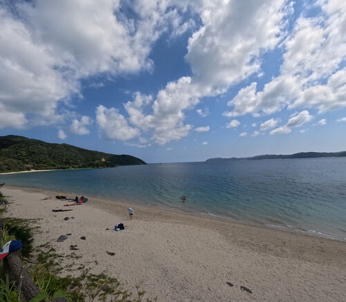 【リトグラフ】アーネスト・R・ノーリング　流木のある太平洋岸北西部の海岸のカモメ 25年夏 奄美大島 倉崎海岸・崎原ビーチ・打田原ビーチで