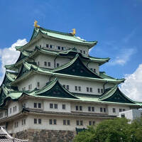 夏休みのスタートは名古屋城と名古屋港水族館へその１