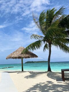 モルディブの海 Into the Blue 🇲🇽 メキシコモブラスイム2024 この時期、モブラ