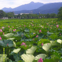 2025・夏旅（パート２：バスと鉄道を乗り継いで、新潟から長野県域を目指す！）