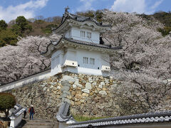 2025年 神戸・姫路・龍野（＋夙川）桜見物 ２日目（その３）