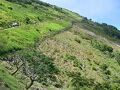 伊吹山（１３７７ｍ）へ涼みに