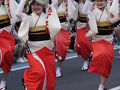 大和阿波踊り2025  初めて見ました