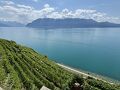 世界遺産のワイン地区ラヴォー(Lavaux)