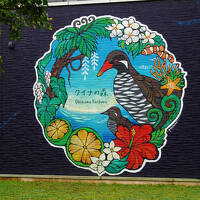 2025 春の沖縄旅行[1週間]　4日目