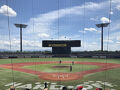 ハードオフエコスタジアム新潟へ野球観戦旅行 2024