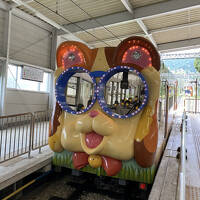 奈良､生駒　ケーブルカーと宝山寺参道でジビエを食べる旅