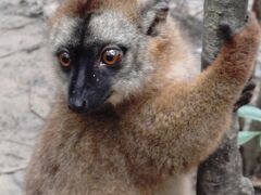 アンタナナリボ