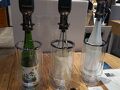 2025年2月 冬の新潟ひとり旅