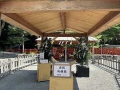 初めての鶴岡八幡宮