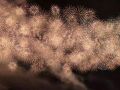 柏崎　海の大花火大会と津南、越後田中温泉、松之山温泉①