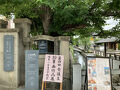春から夏の京阪神【池田城跡公園・長岡天満宮・鯉のぼりフェスタ・今城塚古墳・大正ロマン館・龍野城】