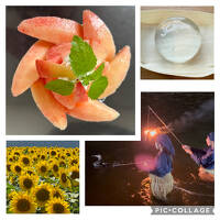 2025年　山梨 夏遊び＆夏グルメ～鵜飼と明野ひまわり、ぷるるん水信玄餅と桃パフェ～