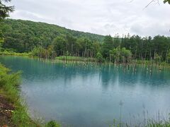 36年ぶりに道央、道南の三都市を巡る(前半)