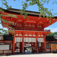 梅雨明けの暑ーい京都2泊3日Vol.2　2025年6月