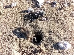 粟島の夏―瀬戸内海の正しい過ごし方