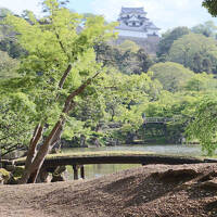 彦根城へいざ参らん