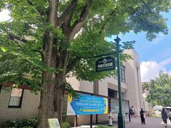 札幌ひとり旅？息子の代わりに北大オーキャン