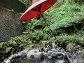 山歩'24夏 大山～日向薬師～七沢温泉