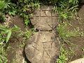 山歩'24夏 大倉⇔蛭ヶ岳