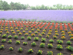 富良野と定山渓温泉5日間の旅