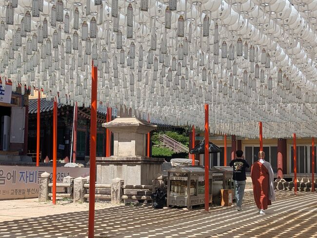 211回目訪韓(2025/7/25金～28月)⑤／⑥奉先寺 (南楊州市)