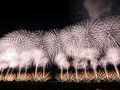長岡まつり大花火大会～花火撮影に挑戦の巻～