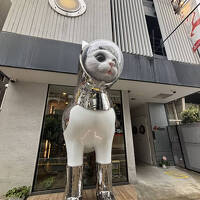 2025.6沖縄&福岡の旅その5《福岡編》