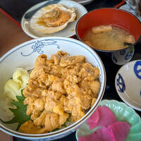 母を訪ねる前にHIROSAKI