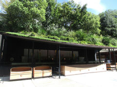 '25 太宰府天満宮 