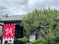 またまた「誠」に誘われ…