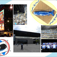 憧れのエスコンフィールド