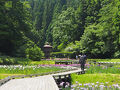 2025  新潟「えんま市・しらさぎ森林公園・月岡公園」の旅＜新潟県柏崎・三条・見附・小千谷・長岡・五泉・魚沼＞